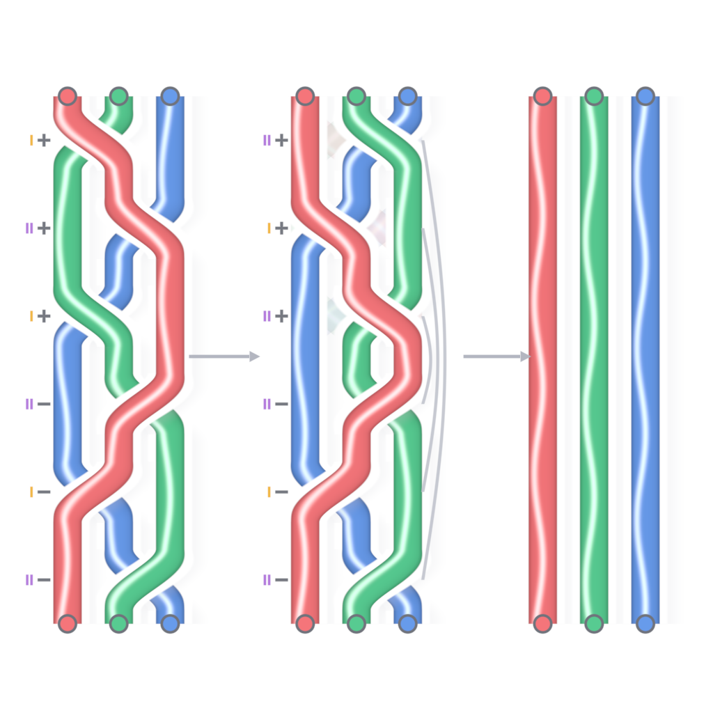 Rendered output for Braid Word Reduction Ribbons