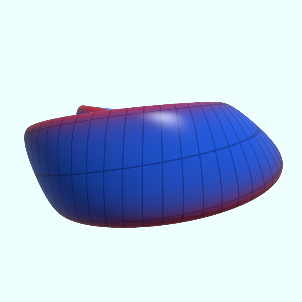 Rendered output for Klein Bottle