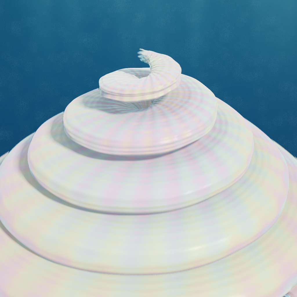 Rendered output for Parametric Seashell