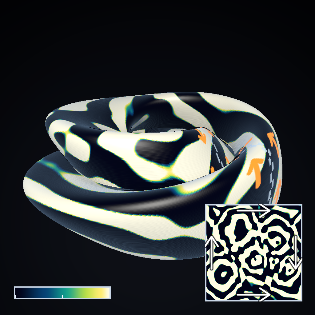 Rendered output for Reaction Diffusion Nonorientable Surfaces