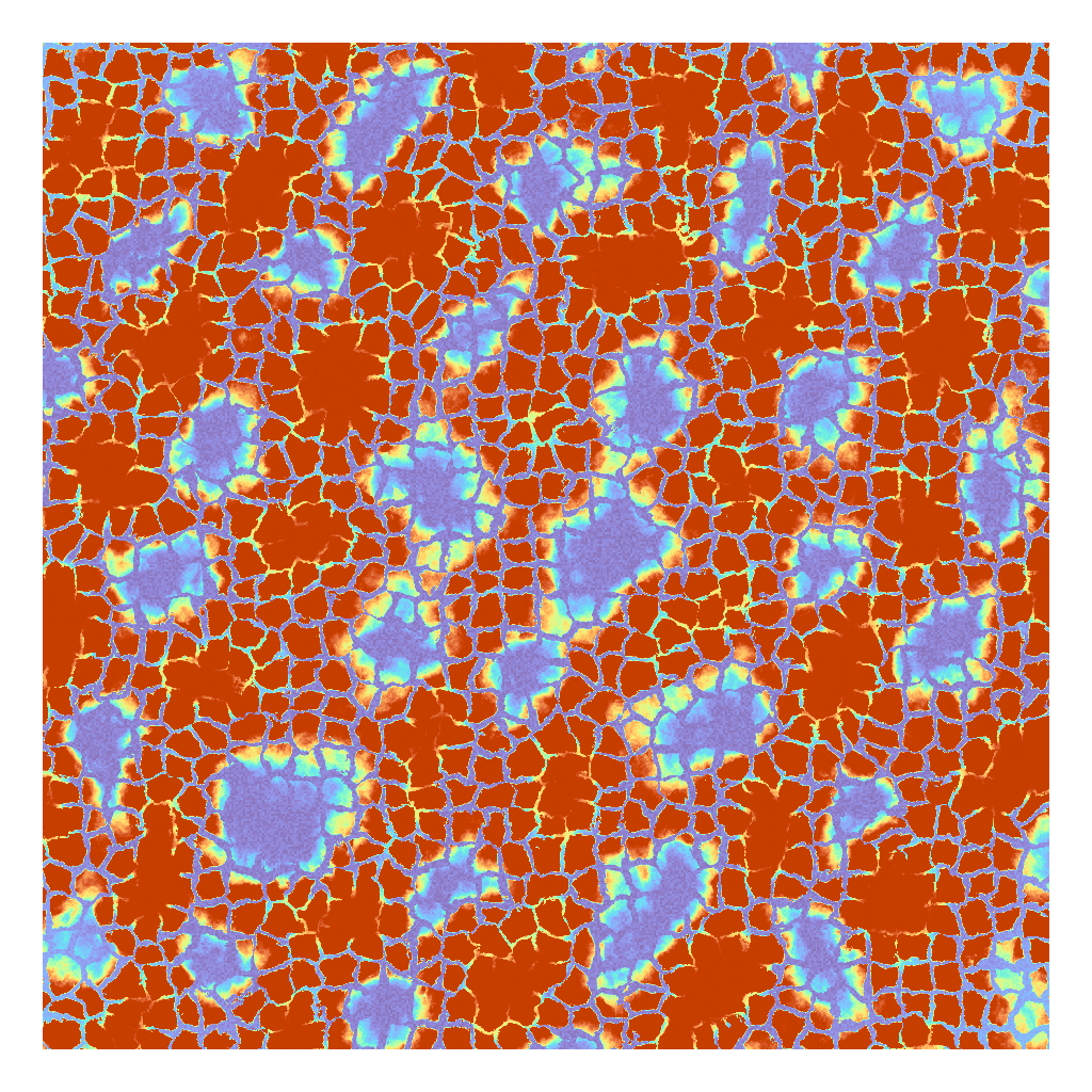 Rendered output for Reaction Diffusion Patterns