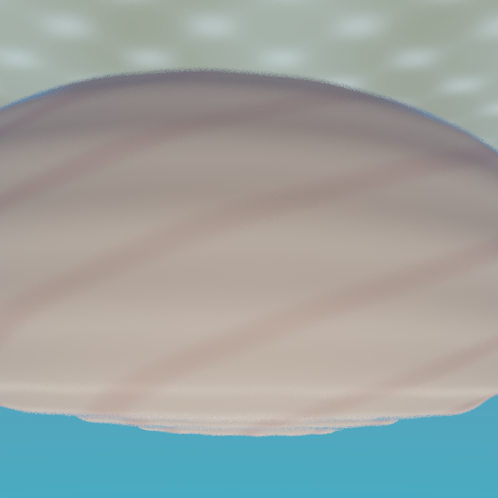 Rendered output for Parametric Seashell